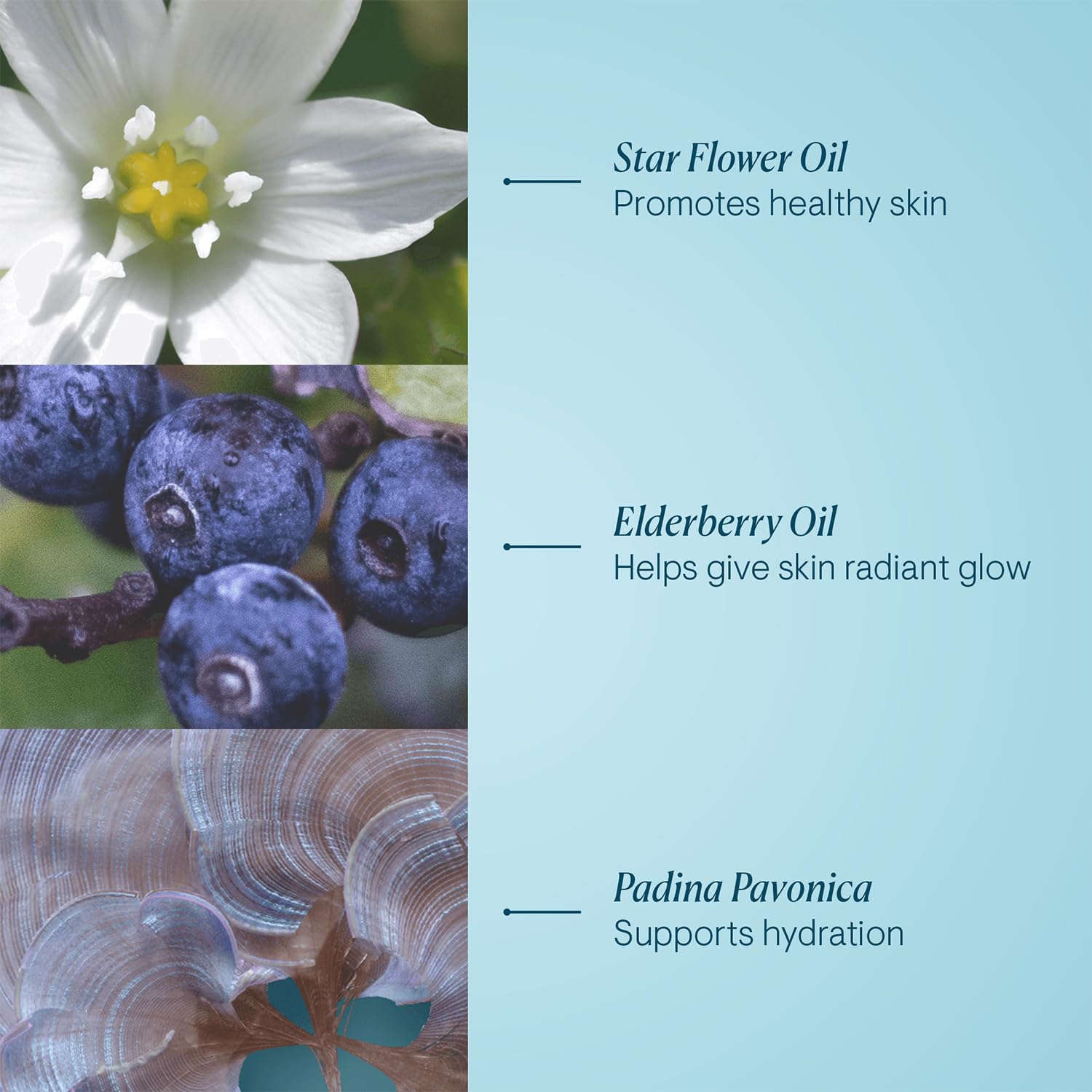 ELEMIS Pro-Collagen Cleansing Balm, 3-in-1 Facial Cleanser for All Skin Types, Daily Skincare to Soften, Deep Cleanse & Hydrate, Makeup Remover - Image 3